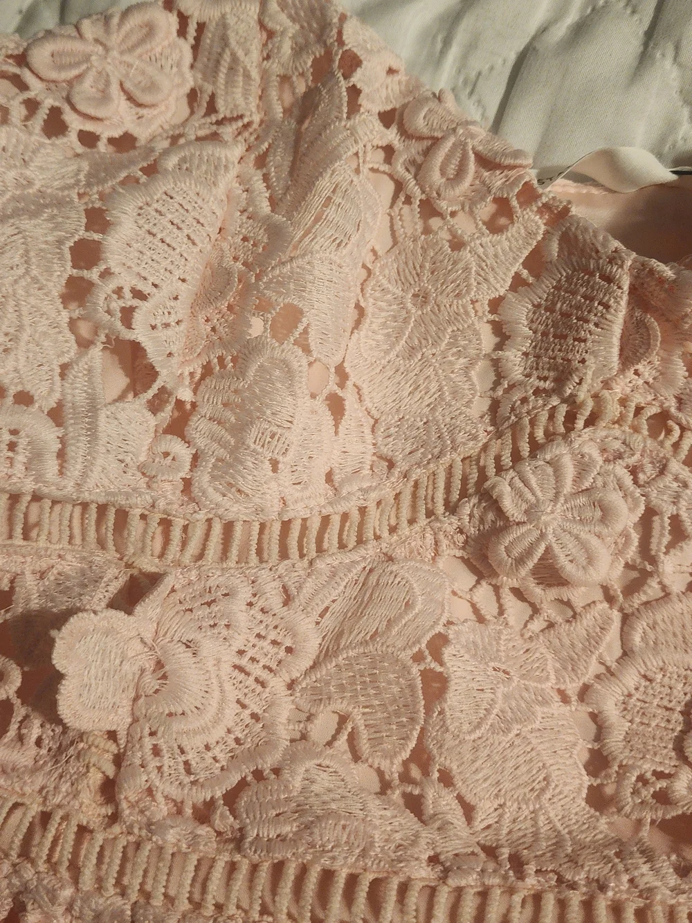 Altar'd State Blush Pink Lace Appliqué Mini Dress - Picture 3 of 7